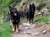 Shani und Gitan